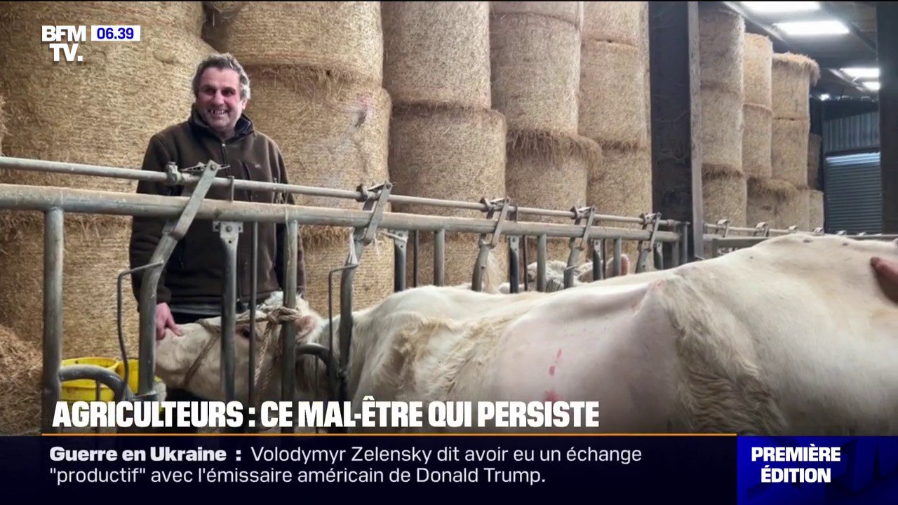 "Je ne veux plus faire ce métier-là": à la veille de l'ouverture du Salon de l'agriculture, le mal-être persiste pour le secteur agricole