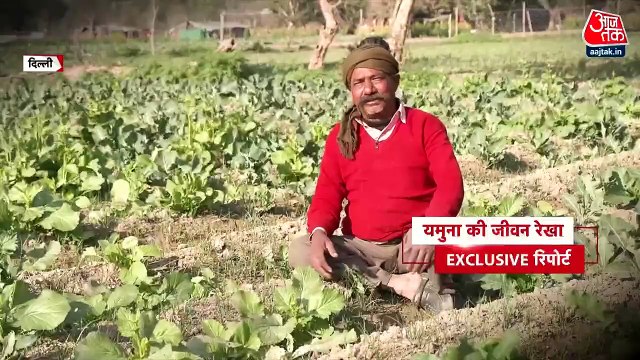 Yamuna River Pollution Ground Report: यमुनोत्री से निकली नदी दिल्ली में बनी नाला, TDS 700 के पार... देखें यमुना की जीवन रेखा पर Exclusive रिपोर्ट