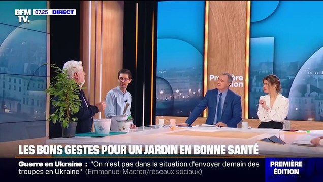 Les bons gestes pour un jardin en bonne santé à l'approche du printemps