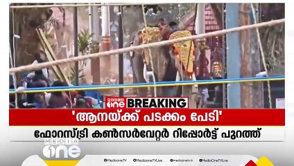 'ആനക്ക് പടക്കം പേടി, പ്രശ്നം ക്ഷേത്ര ഭാരവാഹികളെ അറിയിച്ചിരുന്നു'
