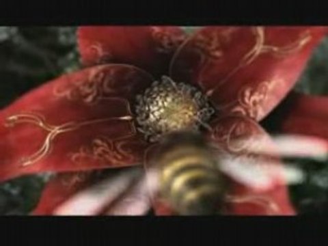 Haagen Dazs Opera Honneybees death