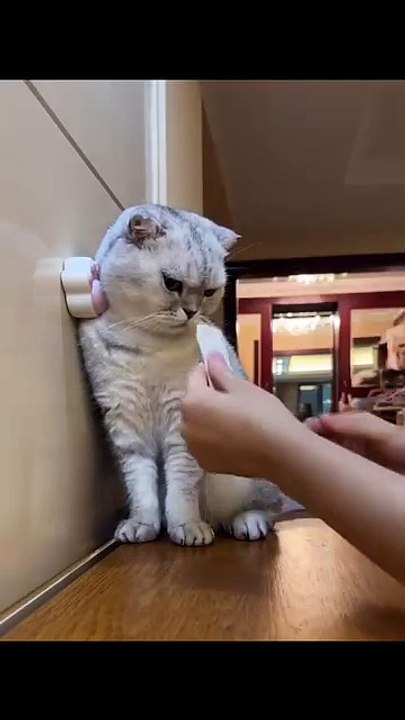 Sao lừa kout zay Sen😌