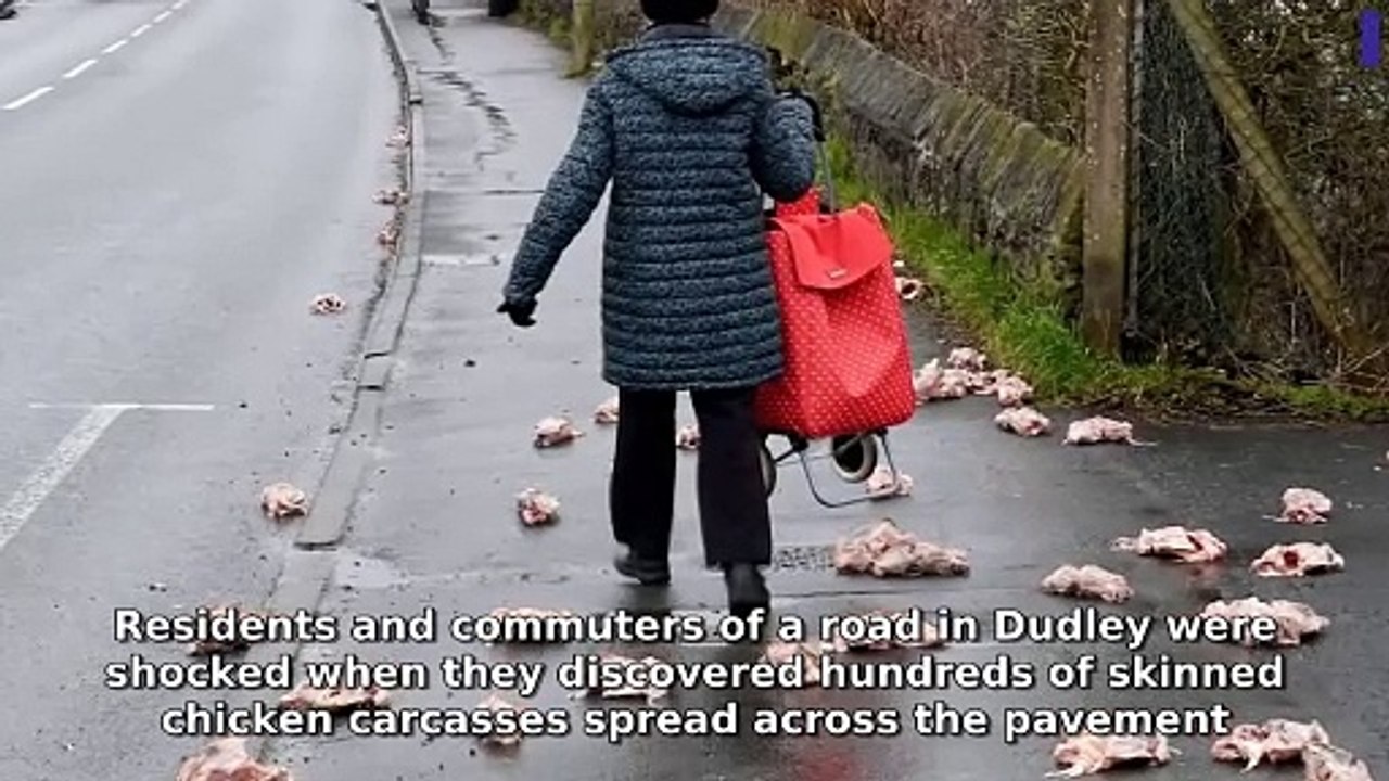 Express & Star Wolverhampton Morning Update 21 February, 2025