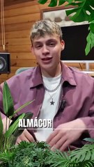 Almácor se convierte en el cuarto concursante de 'Supervivientes 2025'