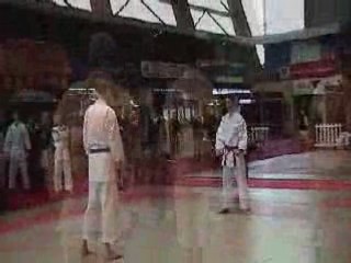 Coupe de france de taï jitsu 2008 Alençon_NET_01