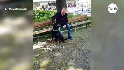 Un rottweiler ve a un anciano en el parque: lo que sucede después es difícil de creer (vídeo)