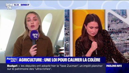 Loi d'orientation agricole: pour le syndicat des Jeunes Agriculteurs cette loi est un "bon signal" mais reste insuffisante