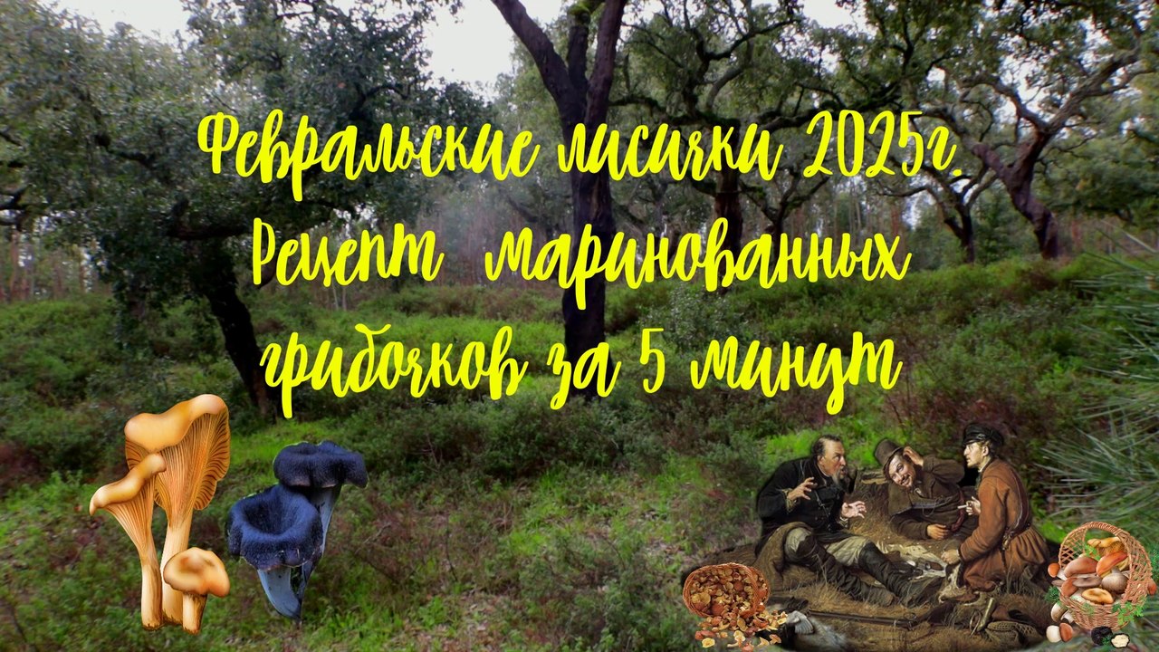 Февральские лисички 2025г.Рецепт маринованных грибочков за 5 минут.