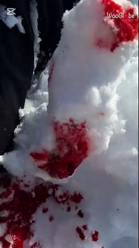 Skier has the smoothest ski ride until he suddenly crashes straight into snow