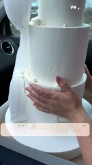 This Wedding Cake's Road Trip Was a Total Nightmare! 🎂😱 | Heartsome