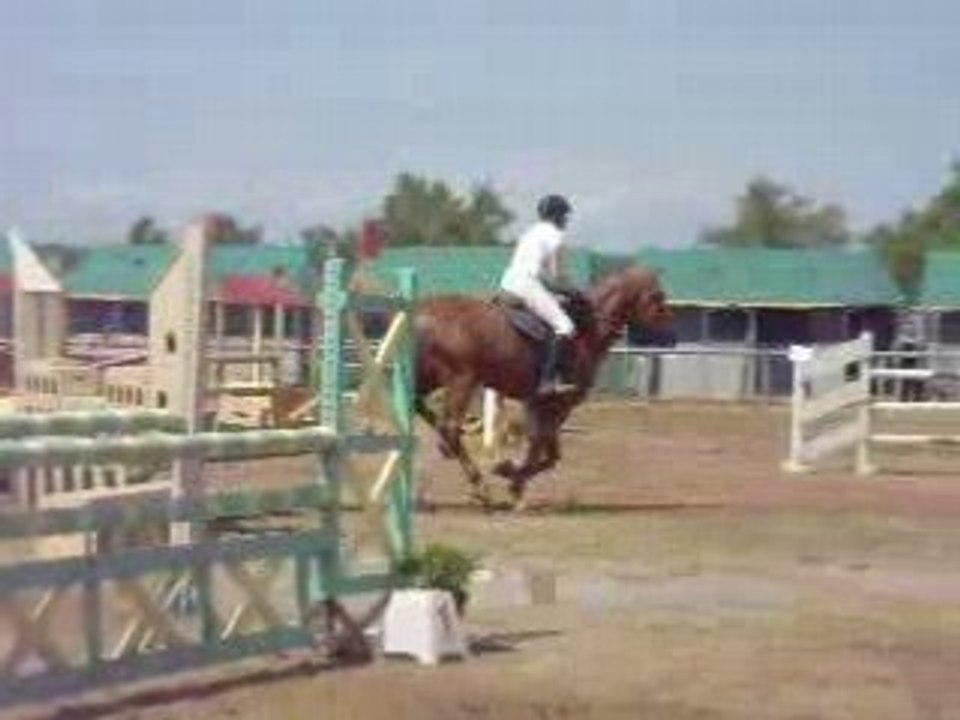 DSCN1192