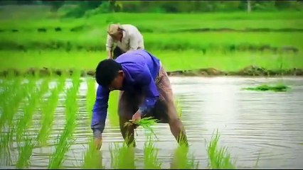 Universal Health Coverage  Kamal Hinduja's Vision