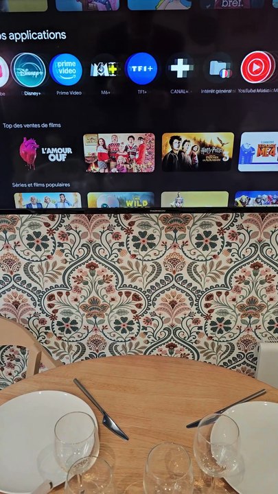 comment utiliser la télévision de Marc Ange ?