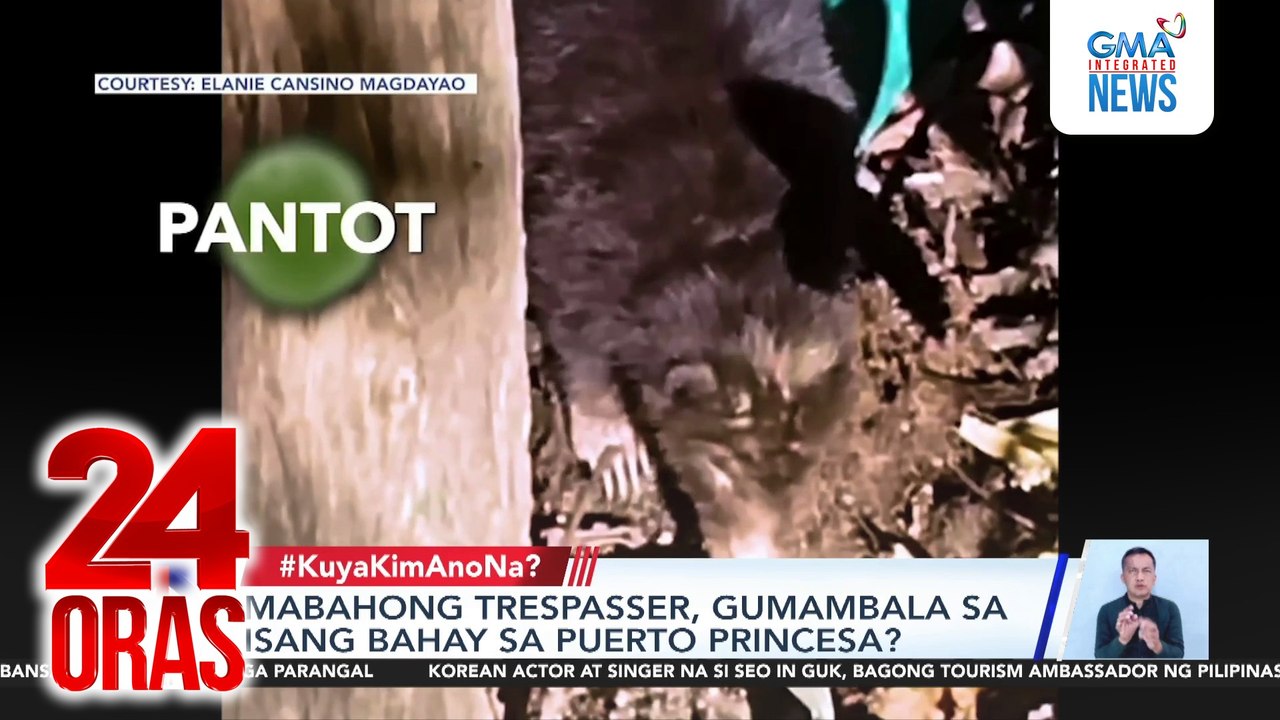 Mabahong trespasser, gumambala sa isang bahay sa Puerto Princesa? | 24 Oras