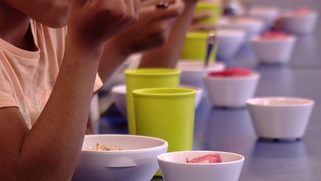 tn7-alertan-sobre-supuestas-fallas-en-sistema-de-pedidos-de-comedores-escolares-210225