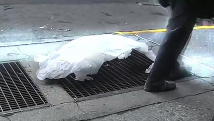 🌬️ The Wind’s Dance – A Second Life for Plastic Bags 🌿