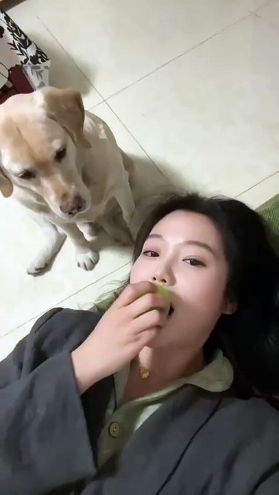 Dog has excellent coordination when it comes to food