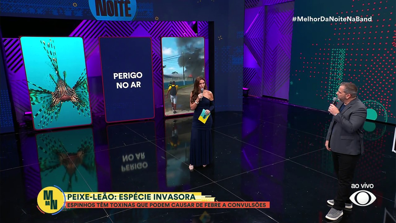 Peixe invasor é encontrado na Bahia e ameaça ecossistema marinho | Melhor da Noite