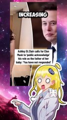 Did Elon Have His 13th Child With This MAGA Influencer?