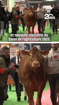 Salon de l’agriculture 2025 : Qui est Oupette, égérie de l’événement ?