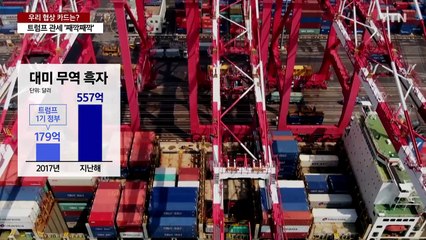 트럼프 관세 '째깍째깍'...우리 협상 카드는? / YTN