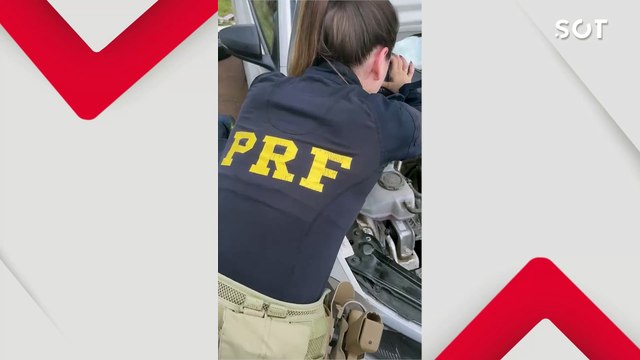 PRF desmantela esquema de tráfico de anabolizantes na BR-277 em Santa Terezinha de Itaipu