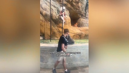 British tourist shocked to see humans dressed as animals at SeaWorld Abu Dhabi