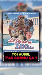 T’as connu la vie est un zoo ? 📺