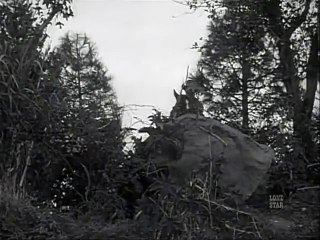 Johnny Ringo  E30 - Soft Cargo