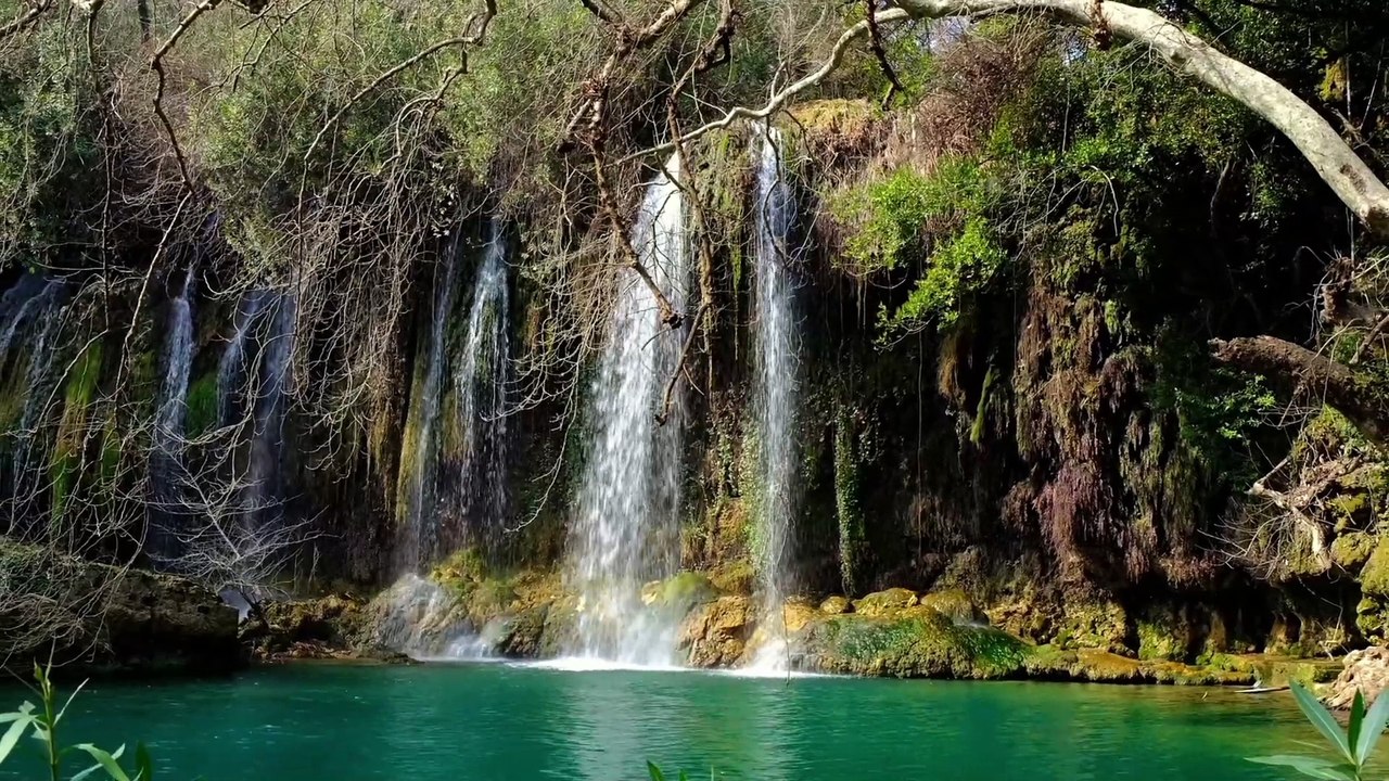 Nature