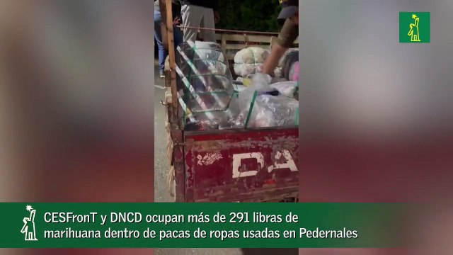 CESFronT y DNCD ocupan más de 291 libras de marihuana dentro de pacas de ropas usadas en Pedernales