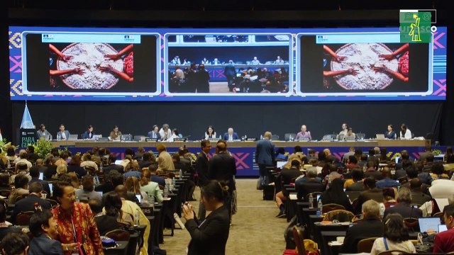 La Unesco reconoce la elaboración del casabe como Patrimonio Cultural Inmaterial de la Humanidad