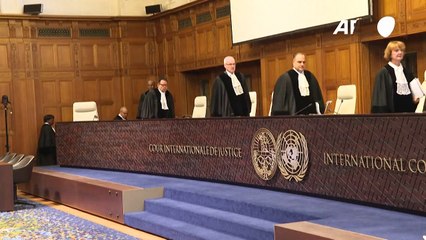 La CIJ busca un marco jurídico para proteger el medioambiente