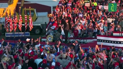 Trump pone a Elon Musk al frente de un departamento de "eficiencia gubernamental"