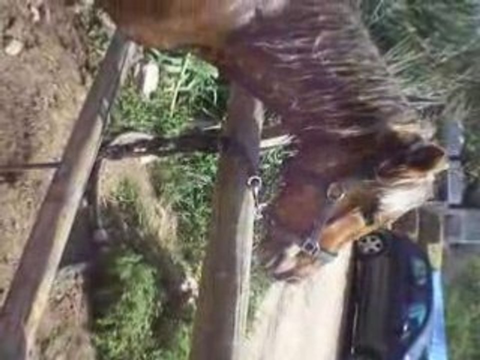 Premier rayons de soleil - Douche pour ma louloute