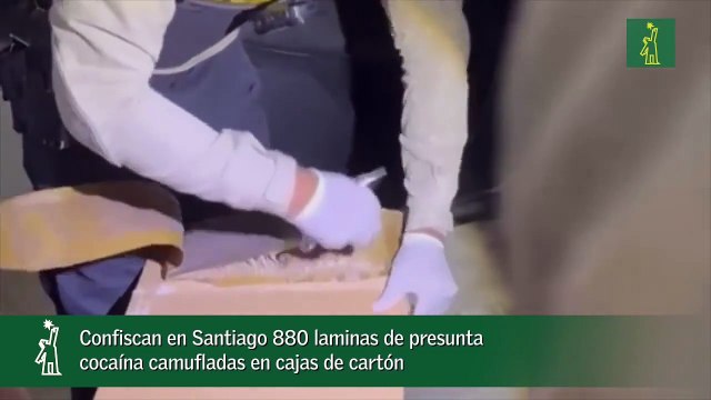 Confiscan en Santiago 880 laminas de presunta cocaína camufladas en cajas de cartón_1