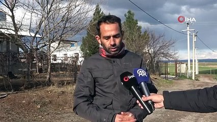 Evinin yolunu karıştıran Alzheimer hastası adam köpeklerin saldırısına uğradı