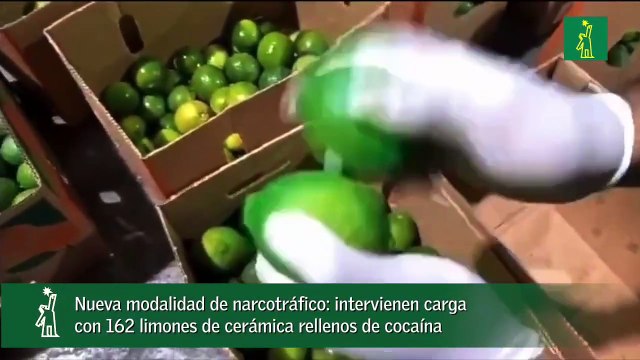 Nueva modalidad de narcotráfico- intervienen carga con 162 limones de cerámica rellenos de cocaína