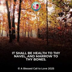 Proverbs 3:5-9 - Scripture Song