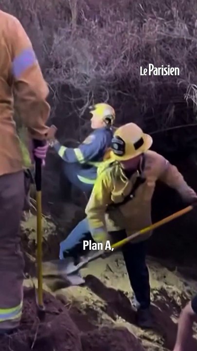 Un cheval hélitreuillé après être tombé dans un fossé