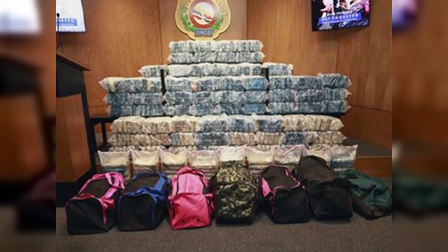 DNCD decomisa 497 paquetes de cocaína en Puerto Caucedo