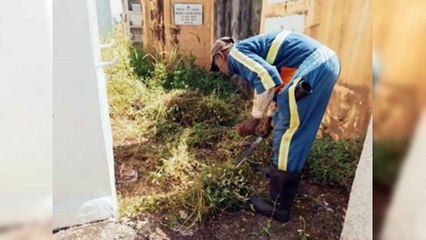 Alcaldía del DN reacondiciona cementerios