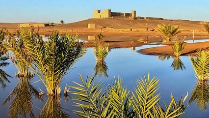 Lluvias torrenciales devuelven la vida al desierto del Sáhara en Marruecos
