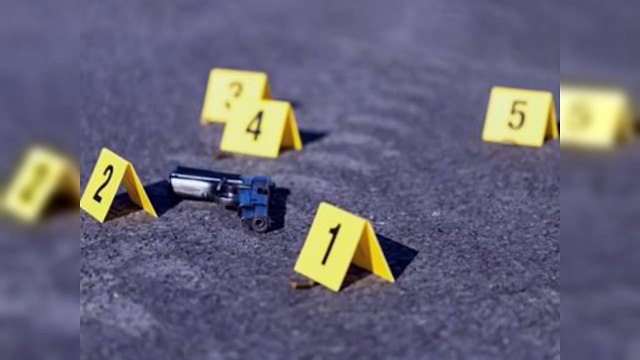 Intercambios de disparos: 87 abatidos en 2024