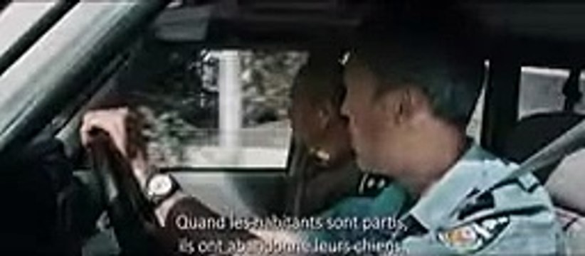 BLACK DOG de Guan Hu ｜ TEASER ｜ LE 5 MARS AU CINÉMA