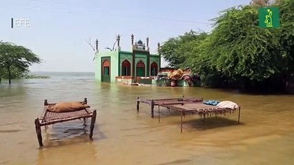 La OMS avisa del posible aumento de brotes infecciosos en la anegada Pakistán