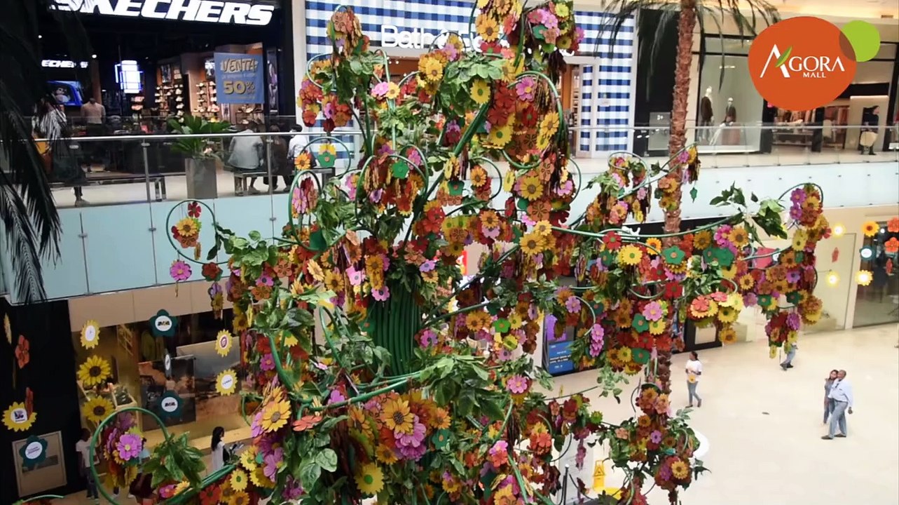 ¡Objetivos cumplidos!