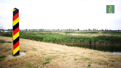 Berlín y Varsovia investigan desastre ecológico y muerte de peces en Oder