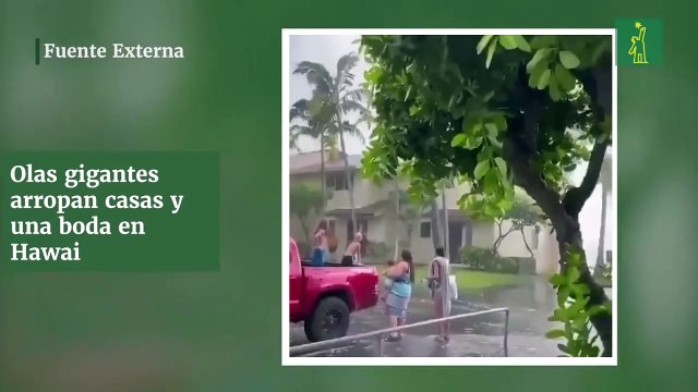 Olas gigantes arropan casas y una boda en Hawai