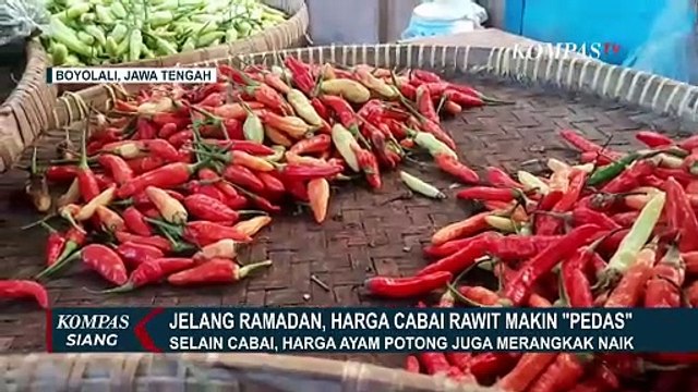 Harga Cabai Rawit Melambung Tinggi Jelang Ramadan, Capai Rp 90 Ribu per Kilogram!